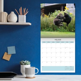 Baker and Bray Cats Calendar 2025, Large Square Wall Calendar With Organisational Stickers, 16 Month, Cats Gift Cat Calendar