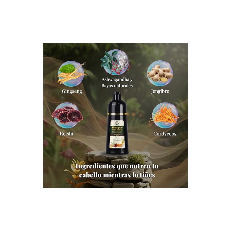 Shampoo para Pintar Canas, Shampoo Tinte Café Obscuro 3 en
