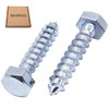 SKIR'CO (20 pcs) DIN 571 Zinc Plated Steel Hexagon Head