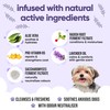 Calming & Deodorising Dog Shampoo by Buddycare | Lavender Scented