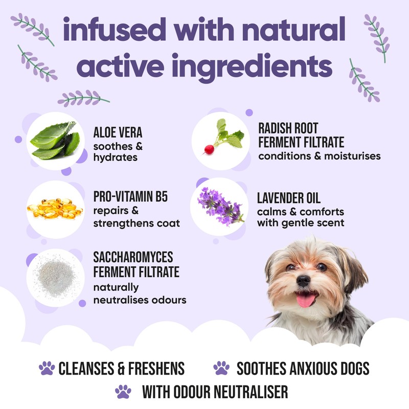 Calming & Deodorising Dog Shampoo by Buddycare | Lavender Scented