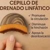 Cepillo Facial Para Linfático Drenaje Cepillo Para Cepillado