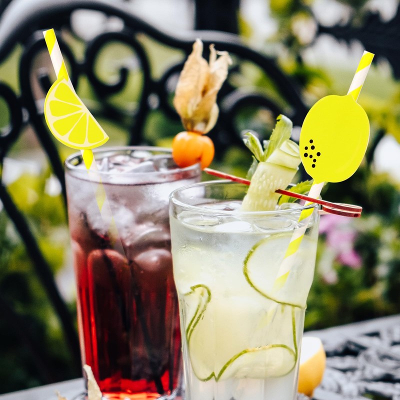 20 PCS Lemon Straws, Disposable Cocktail Straws Lemonade Stand Supplies