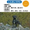 Fantasy World Special Sound Training Dog Training Disc Dog Training