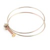 10pcs Double Wire Hose Clips Adjustable Hose Clamps Hoop Plumbing
