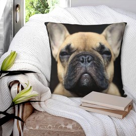 French Bulldog Pillowcase Funny Puppy Pillow Cover Pillow case Square Cushion Cover Bedroom Livingroom Sofa Home Decor 18 X 18 Inch