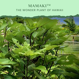 Nakihalani Farm Organically Grown Hawaiian Mamaki Tea (2oz) - Caffeine-Free Herbal Tea - Antioxidant-Rich Supports Digestion & Promotes Relaxation
