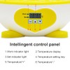 PAIDUOJI Home Use Incubator Automatic Temperature Control Digital Mini Egg