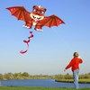 HENGDA KITE Juvenile Dragon Kite,for Kids and Adults,Easy to Fly,Excellent