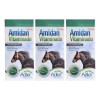 3 Pack Suero Amidan Vitaminado 500ml