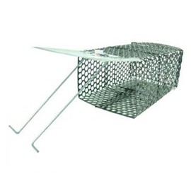 Mouse trap, mouse trap, mouse trap, mouse cage, mouse extermination, mouse catcher, mouse snare, capture, rat, mouse, field mouse, sticky trap, sticky mouse trap, mouse catcher / 쥐덫망 쥐덫 쥐덫망 쥐틀 쥐퇴치 쥐잡이 쥐덧 포획 쥐 생쥐 들쥐 끈끈이 쥐끈끈 쥐망 쥐잡기