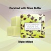 Greenwich Bay Mini Botanical Soap Bars – 12 Pack 1.9