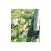Bradas TYT3X03 2037 Tree Ties Set of 3 3 cm