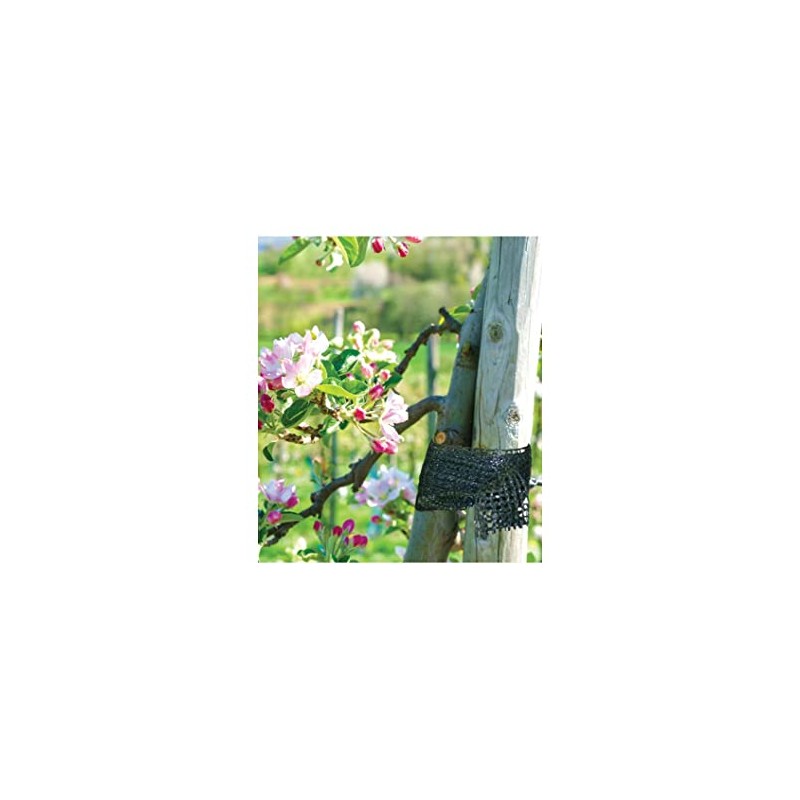 Bradas TYT3X03 2037 Tree Ties Set of 3 3 cm