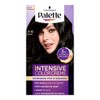 Palette Tinte para cabello color creme, negro 1-0