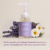 Deep Steep Foaming Hand Wash, Lavender Chamomile, 8 oz –