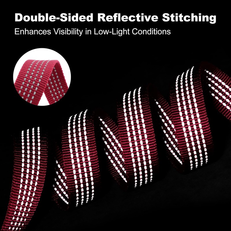 Plutus Pet Heavy Duty Dog Leash with Lockable Aluminum Carabiner,