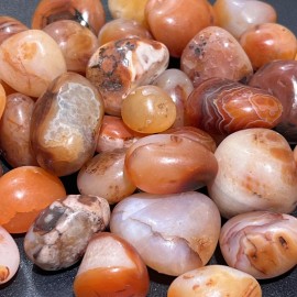 Carnelian Red Agate Tumbled (1 LB) One Pound Bulk Wholesale Lot Polished Natural