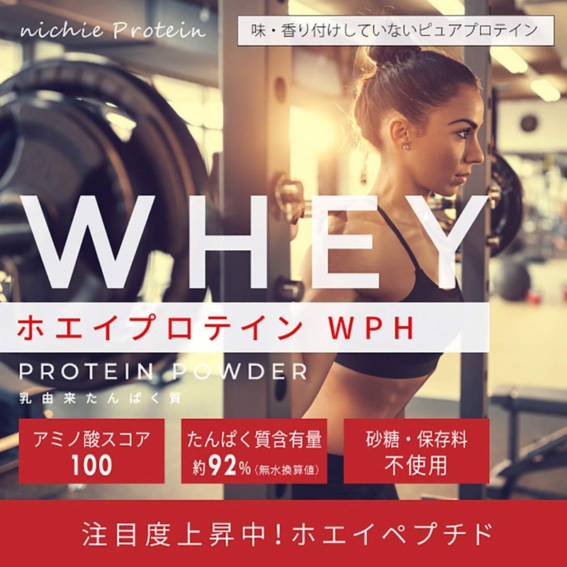 nichie Whey Protein WPH Protein Approx. 92% Protein (Anhydrous) Sugar-Free