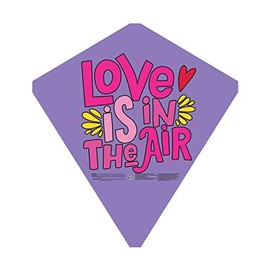 EZBreezy 26 in Poly Love in The air Kite