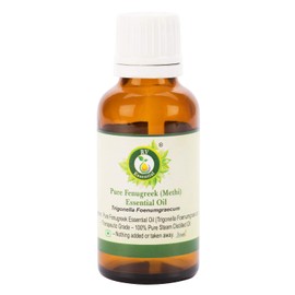 R V Essential Pure Fenugreek (Methi) Essential Oil - Trigonella Foenumgraecum (100% Pure and Natural Steam Distilled) Pure Fenugreek (Methi) Essential Oil