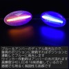 R-Field Blue LED Sequential Side Marker with Positioning Function, Clear