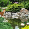 POPOSOAP Pond Waterfall Spillway with Pump Kit, 304 Stainless Steel