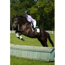 IBKUL Athleisure Wear Sun Protective UPF 50+ Icefil Cooling Tech Long Sleeve Mock Neck Top with Under Arm Mesh 80000 Red Solid M