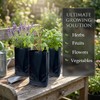 1 3/8 Gallon 50 Pcs Tall Plant Nursery Bags 5.5"