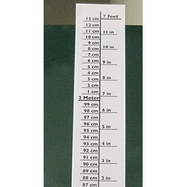 Best Growth Chart Decal 0 to 7 feet DIY Peel and Stick Black & White Backdrop Height Ruler on Wall, Door, Anywhere for Infants Kids Children and Young Adults to Measure cm and inches