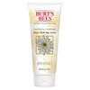 Burt's Bees Deep Cleansing Cream Soap Bark & ​​Chamomile 6 Ounce (Pack of 4), Soap Bark & ​​Chamomile / Burt's Bees 딥 클렌징 크림 비누 껍질 및 카모마일 170g(6온스) (4팩), 6 Ounce (Pack of 4), Soap Bark & Chamomile