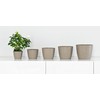 Tymar Flower Pot, 2 Pack Round Shape Planter, Indoor Planter,