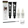 Professional Kalentin Eyebrow Color 2-Pack Plus 2-Developers (Dark Blonde)