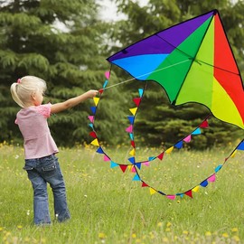 Flying Hoofer Large Rainbow Delta Kite(2 Pack)-Triangle Single Line Kite with Colorful Tail Ribbons for Kids Ages 4-8, 8-12 & Adults - Easy to Fly for Toddlers & Beginners.