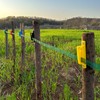 RiteFENCE Electric Fence Wood Post Polytape Insulator Nail on PolyTape