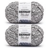 Bernat Blanket Speckle Typewriter Yarn - 2 Pack of 10.5oz/300g