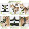 rabbitgoo Dog Harness, No-Pull Pet Harness with 2 Leash Clips,