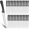 Zhehao 30 Pack Serrated Steak Knives Stainless Steel Steak Knife