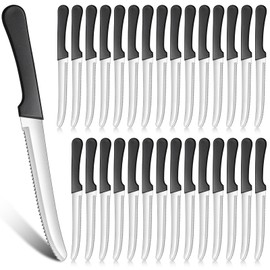 Zhehao 30 Pack Serrated Steak Knives Stainless Steel Steak Knife Rounded Blade Steak Knives 8.39 Inches Kitchen Plastic Handle Steak Knives Bulk for Home Restaurant