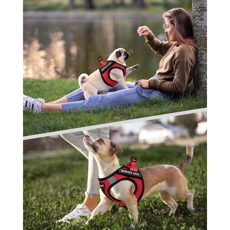 FAYOGOO Service Dog Vest for Small Breed - Lightweight Dog