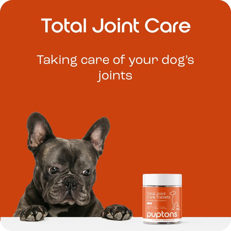puptons Joint Care Powder for Dogs | Reduce Stiffness &