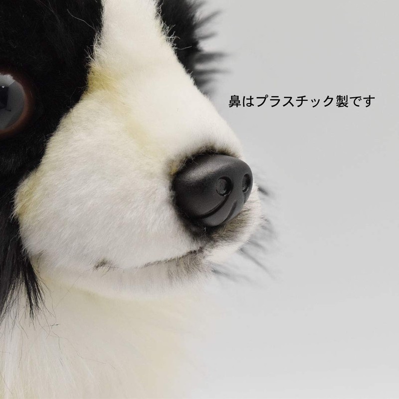 BH6504 HANSA Chihuahua 31