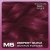 Clairol Bold & Bright Permanent Hair Dye, M5 Deepest Guava