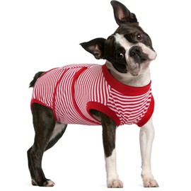 FUAMEY FUAMEY Dog Recovery Suit Male,Dogs Surgery Neuter Suits Puppy Spay Shirts for Female Protect Dog's Skin Anti Licking Abdominal Wounds Doggie Onesie Pet Bodysuit Alternative to Cone Red Stripes M