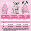 Docuwee Dog Diapers Sanitary Panties with Adjustable Suspender, 3 Pack