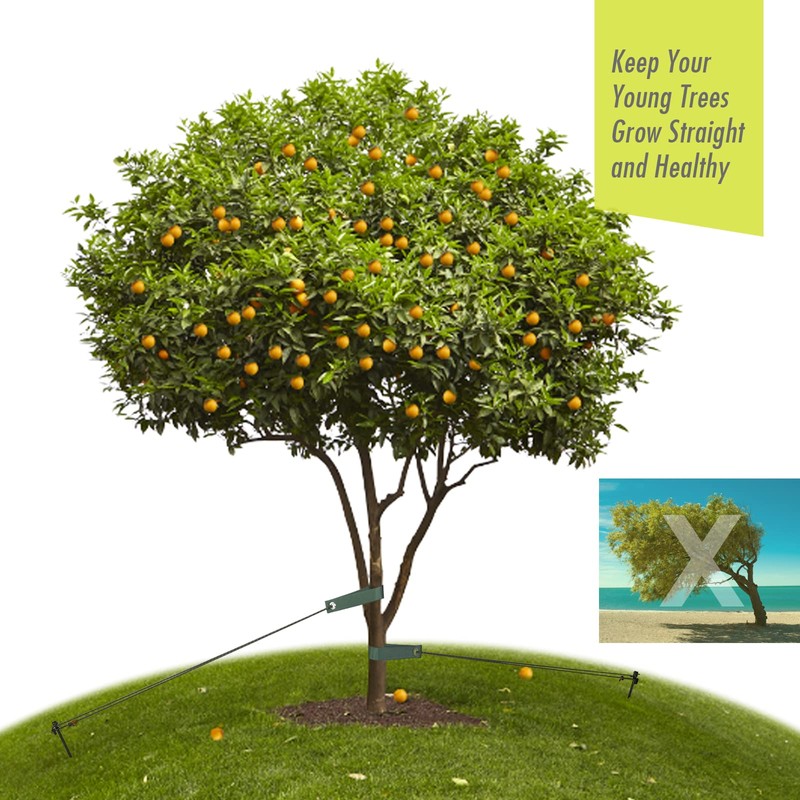 Heavy Duty Tree Stake Kits, 15.75 Inch Steel Tree Stakes