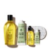 L'Occitane Almond Body Care Duo Set (Amand Chiblime) / 아몬드 바디 케어 듀오 세트 (아망드 쉬블리므)