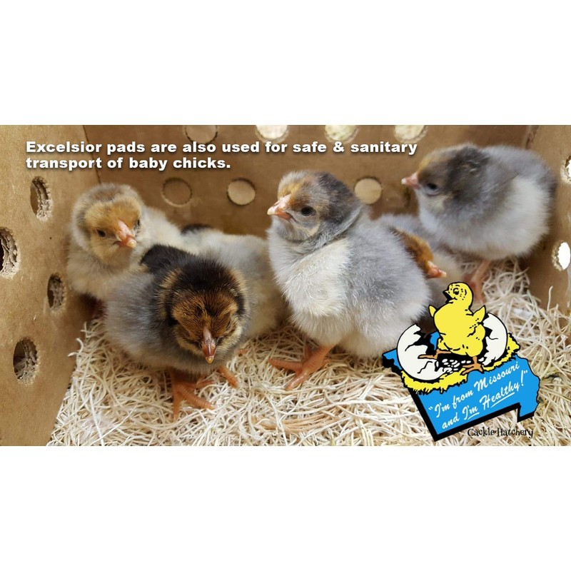 Cackle Hatchery Laying Hen Nest Box Pads Made in USA