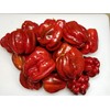 Antep Aci Dolma Pepper 10+ Seeds