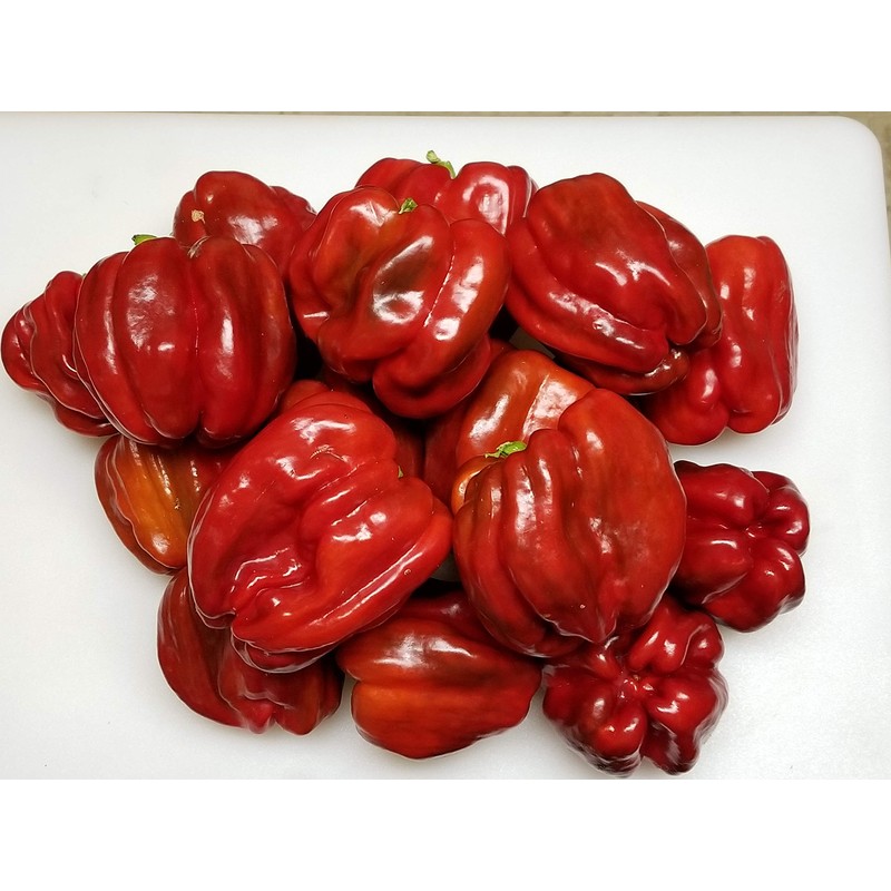 Antep Aci Dolma Pepper 10+ Seeds
